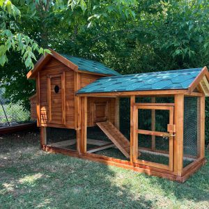 Hobi Tavuk Kümesi (9 Tavukluk)