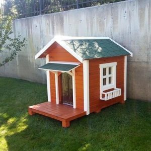 Ahşap Köpek Kulübesi