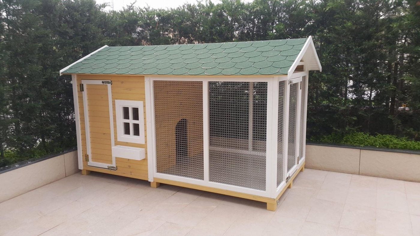Köpek Kulübesi Ahşap Kümes